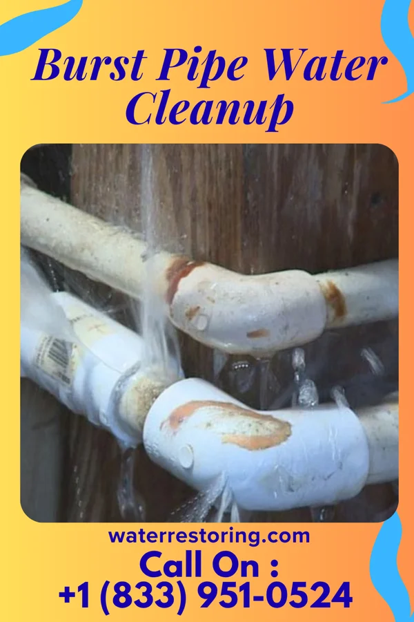 Burst Pipe Water Cleanup in Whitaker, PA