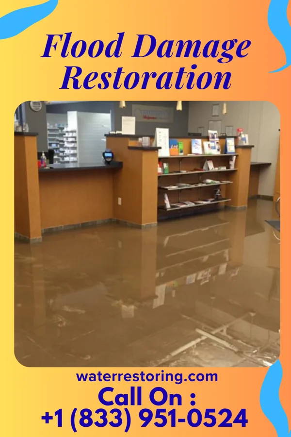 Flood Damage Restoration in Whitaker, PA