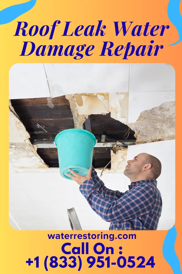Roof Leak Water Damage Repair in Whitaker, PA