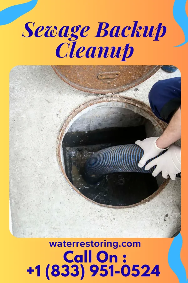 Sewage Backup Cleanup in Whitaker, PA