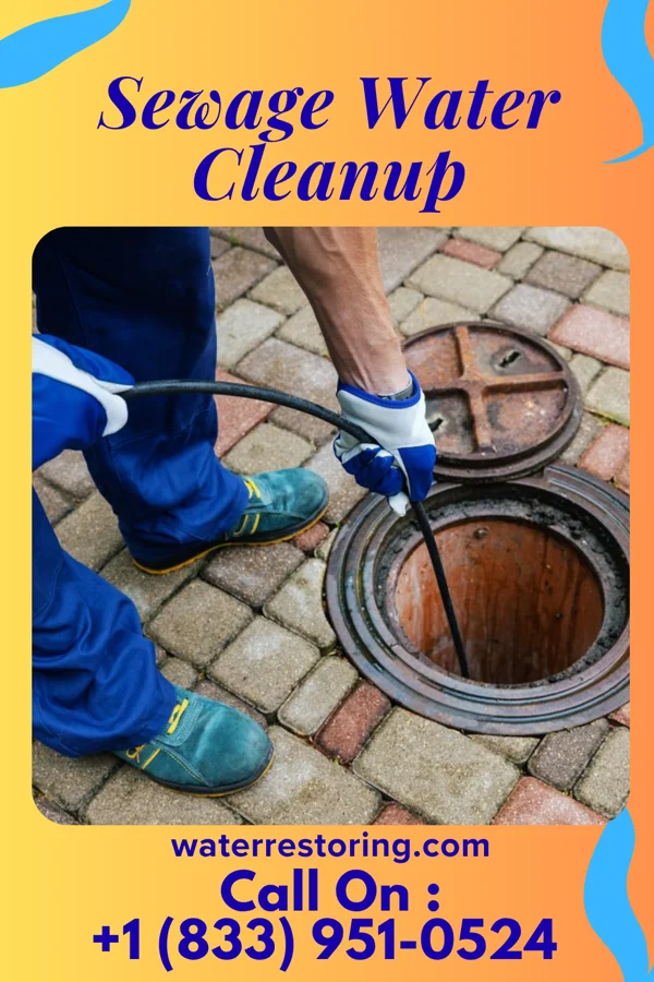 Sewage Water Cleanup in Whitaker, PA